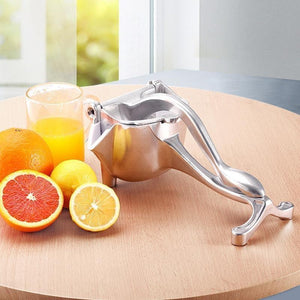 Fruit juice squeezer