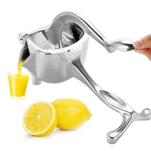 Fruit juice squeezer