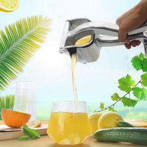 Fruit juice squeezer