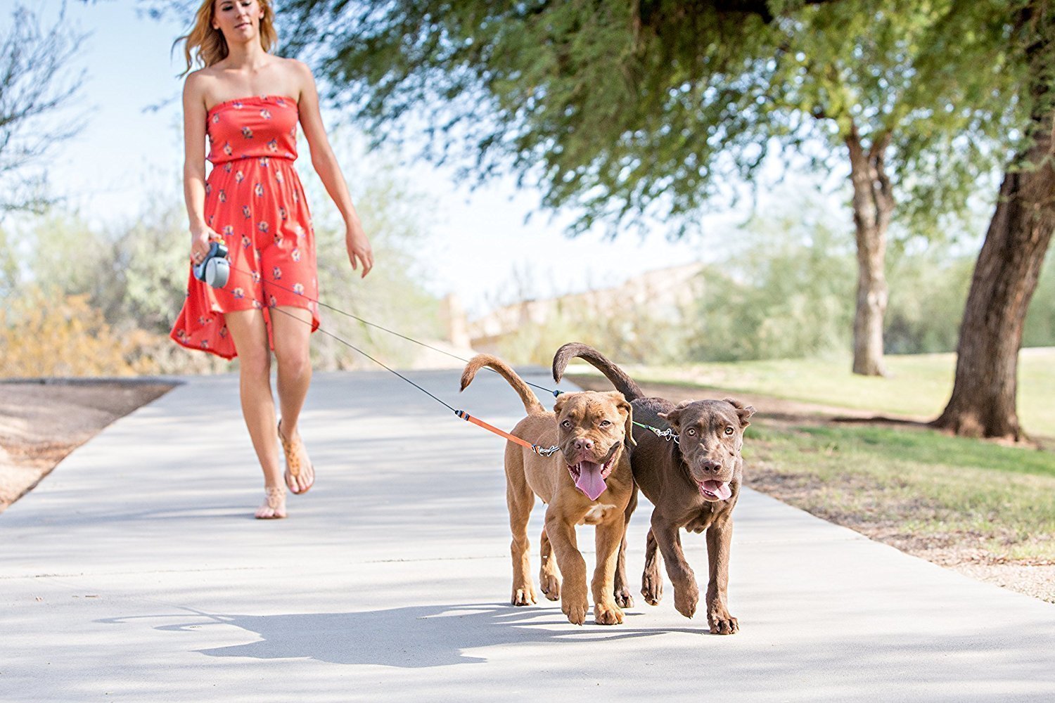 2 DOGS RETRACTABLE LEASH