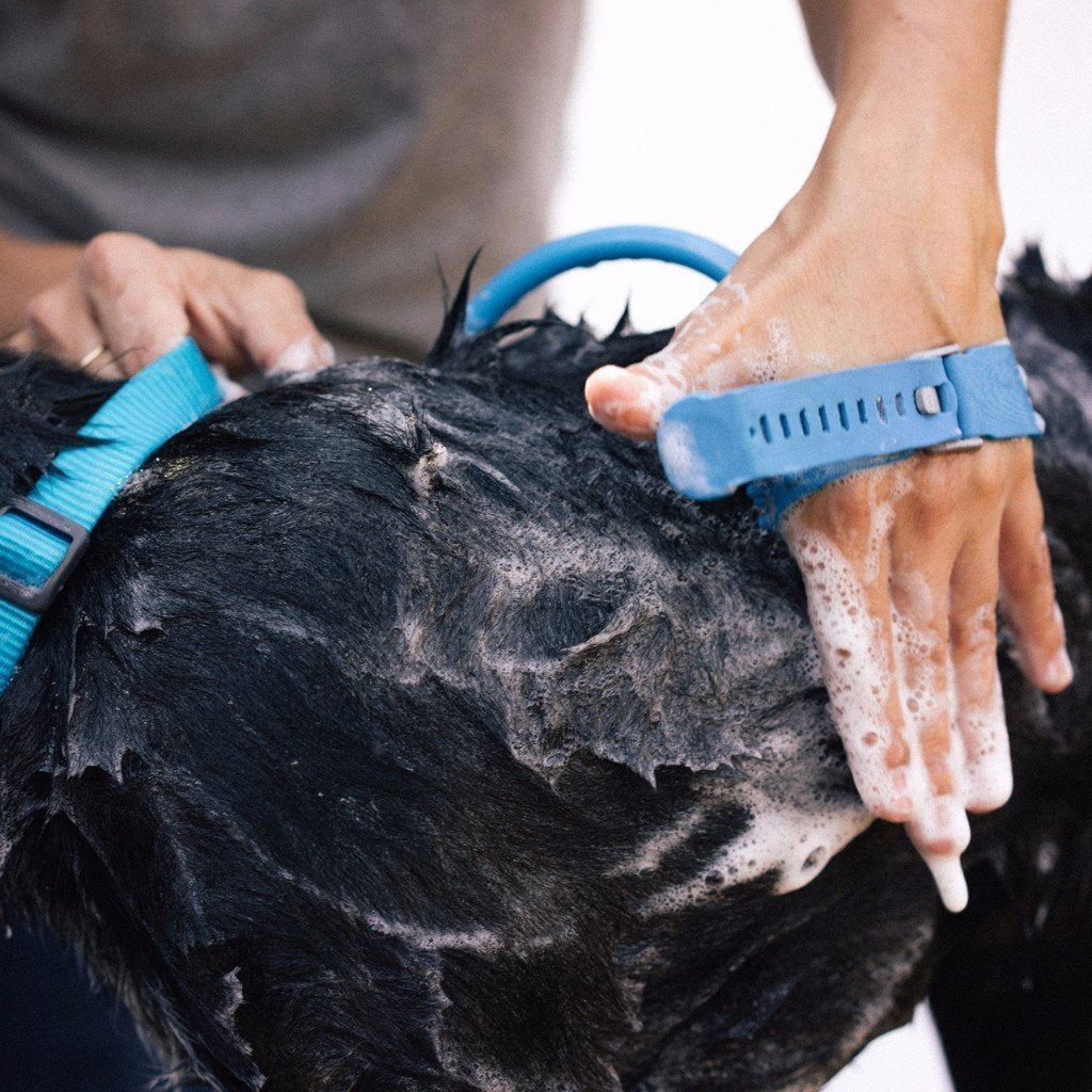 Pet bathing tool