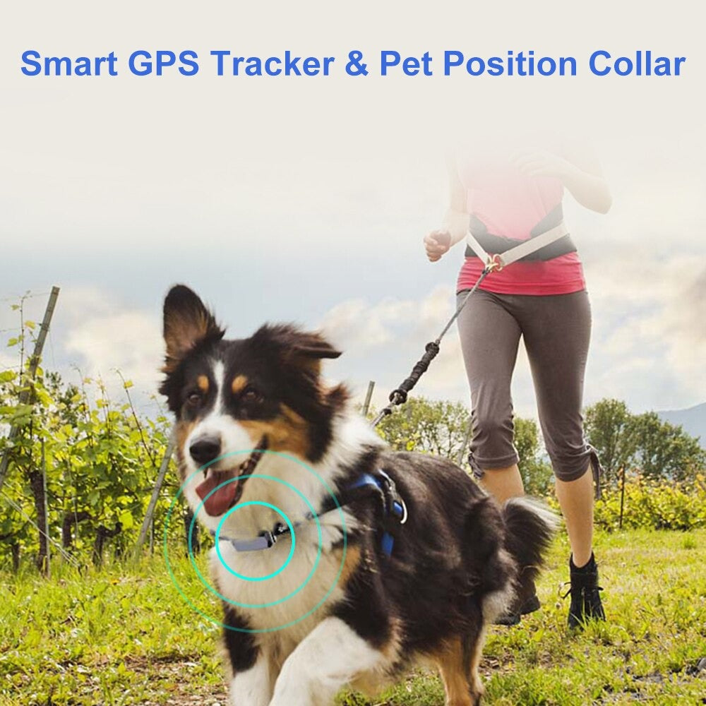 Pet tracker GPS Waterproof Dogs & Cats Tracking Locator